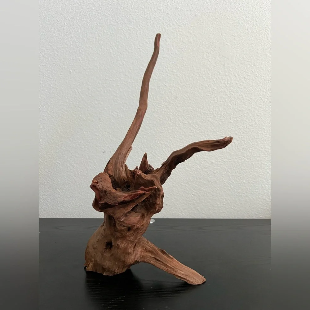 Natural Driftwood Sculpture
